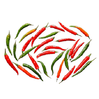 chilli