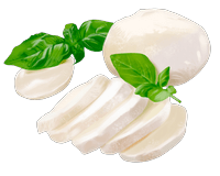 mozzarella